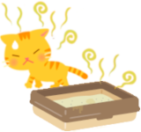 ネコ屋敷脱臭画像 by 便利屋 よろず屋